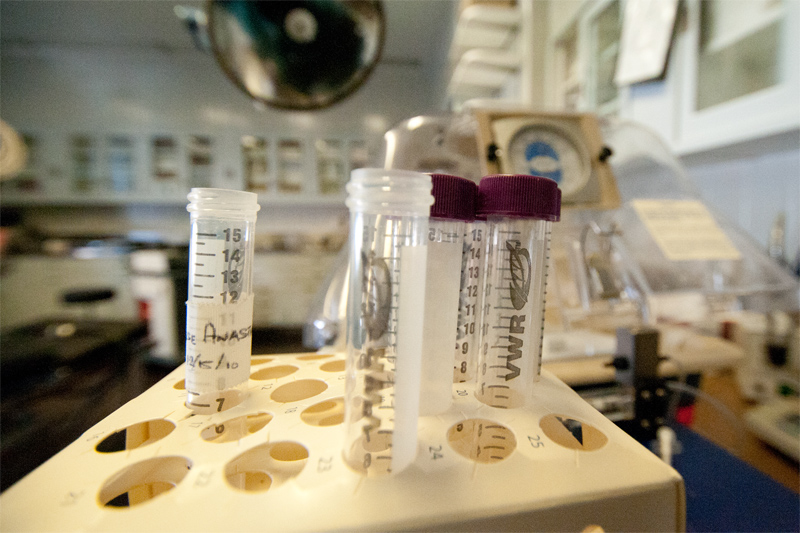 A portable animal intensive care unit is seen in the background of test tubes marked with inflammatory markers for tumor research.The capabilities of the surgical team for clinical research are augmented by the proximity of the St. Luke's space to medical researchers as well as the Columbia facilities across the street