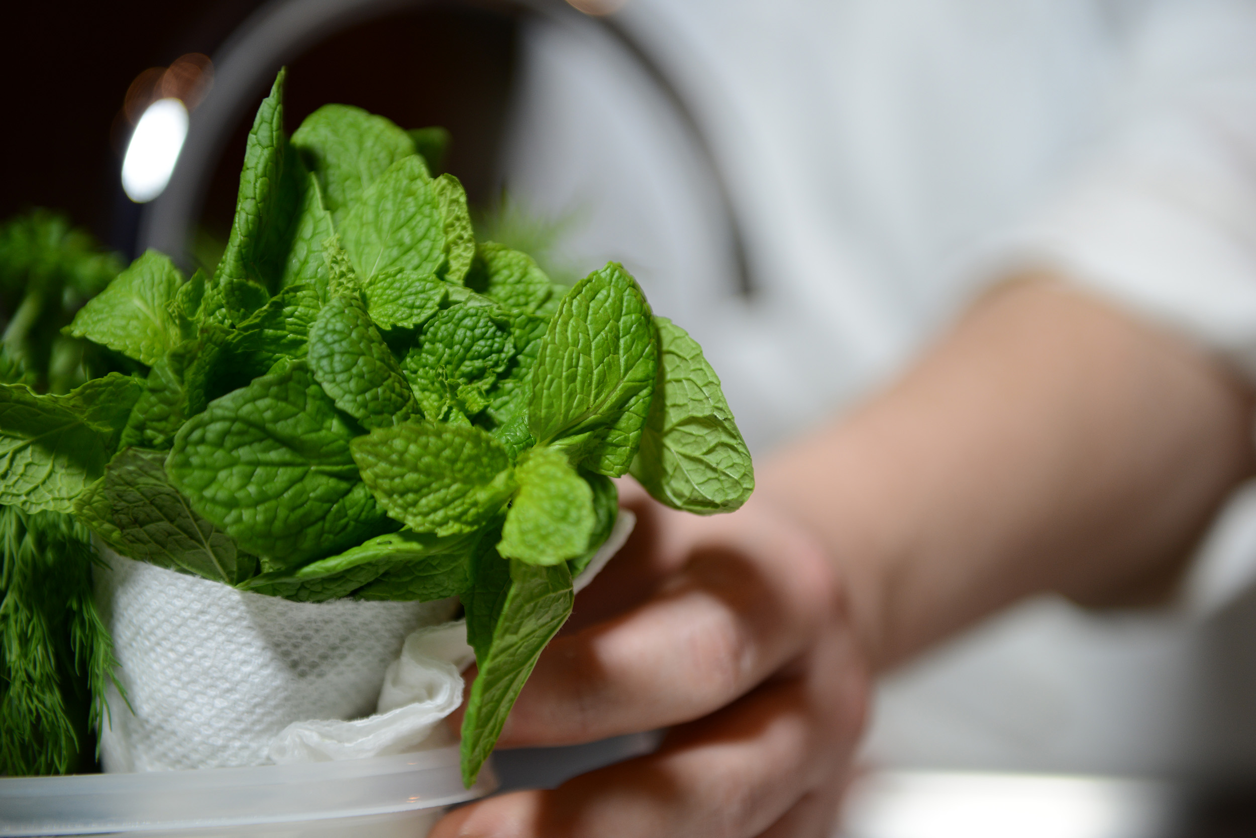 Chef working with herbs