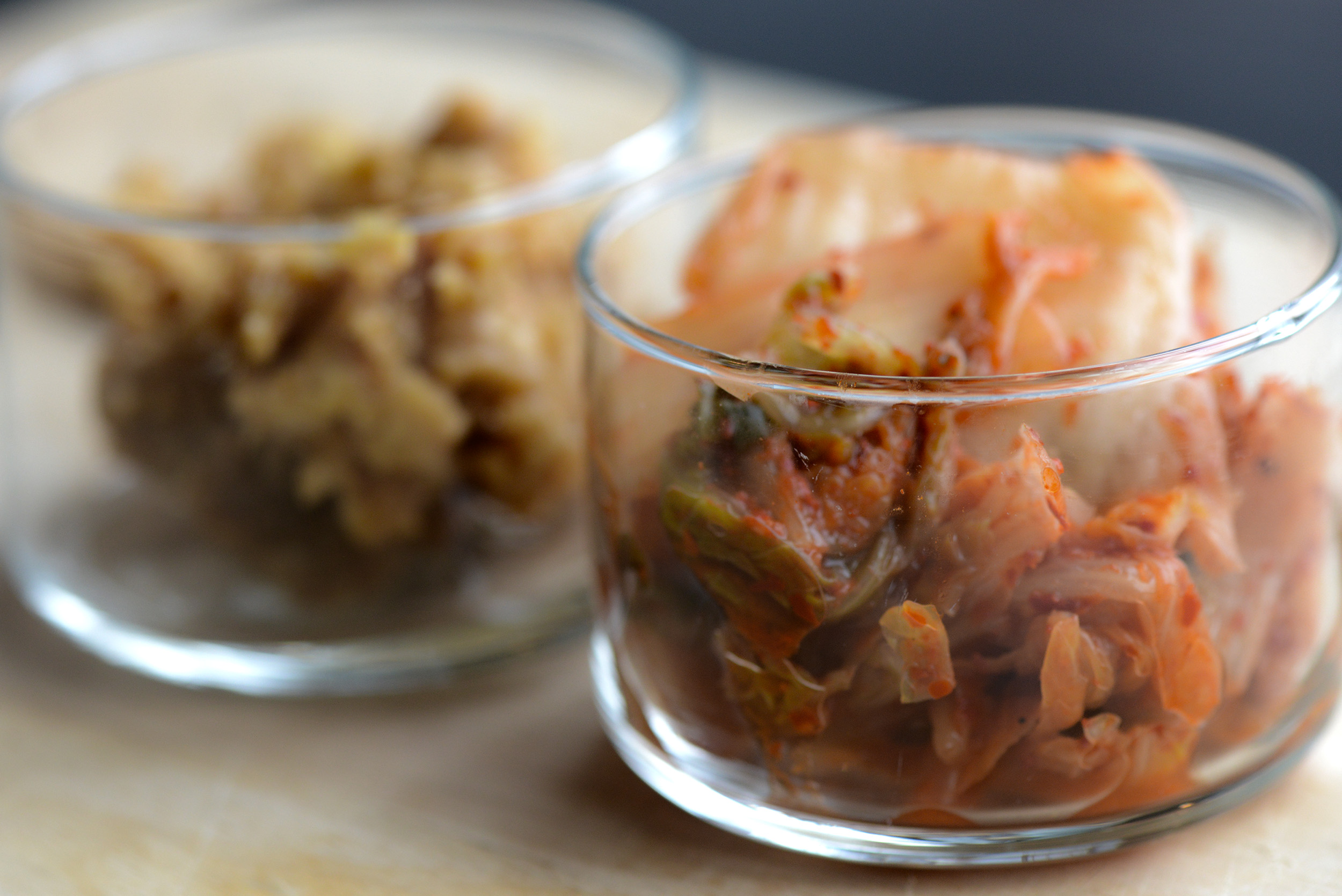 Fermented Foods and Microbiome