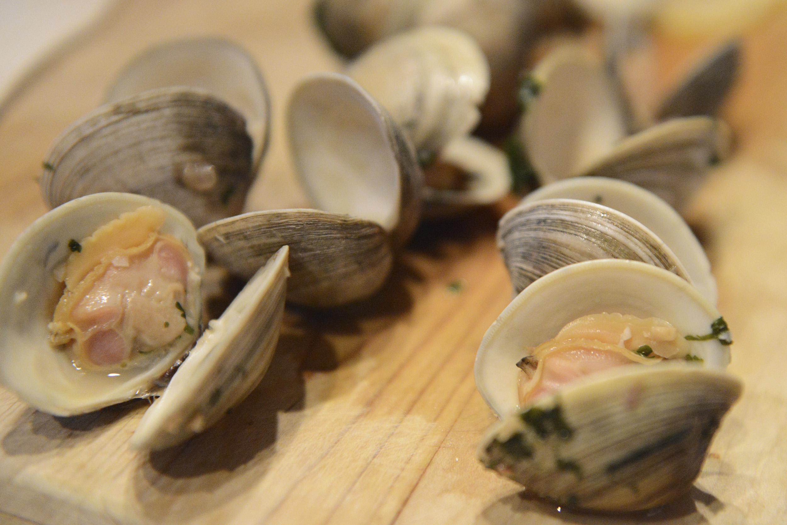Clams as a source of B12