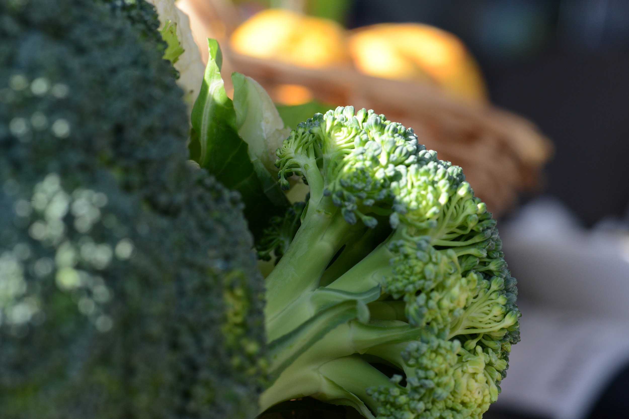 Broccoli and bariatric surgery